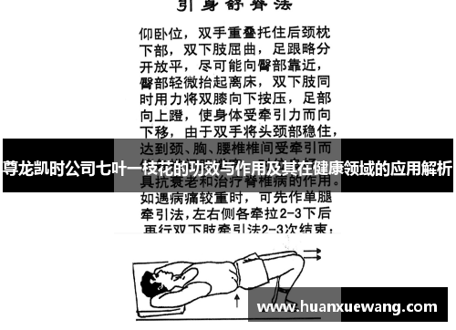尊龙凯时公司七叶一枝花的功效与作用及其在健康领域的应用解析 尊龙凯时公司七叶一枝花的功效与作用及其在健康领域的应用解析