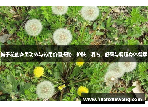 栀子花的多重功效与药用价值探秘:护肤、清热、舒缓与调理身体健康 栀子花的多重功效与药用价值探秘:护肤、清热、舒缓与调理身体健康