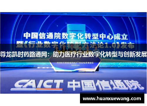尊龙凯时药路通网:助力医疗行业数字化转型与创新发展 尊龙凯时药路通网:助力医疗行业数字化转型与创新发展